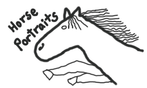 horse portraits